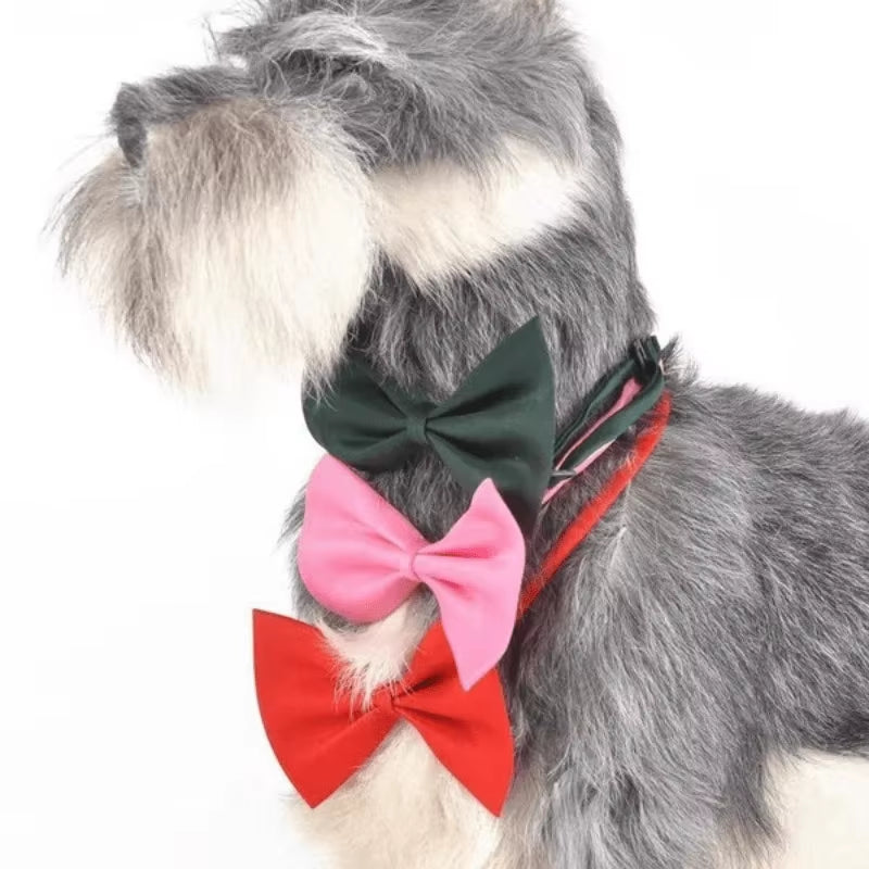 Stylish & Adjustable Pet Bowtie Collar: Make Your Dog or Cat Look Fabulous!