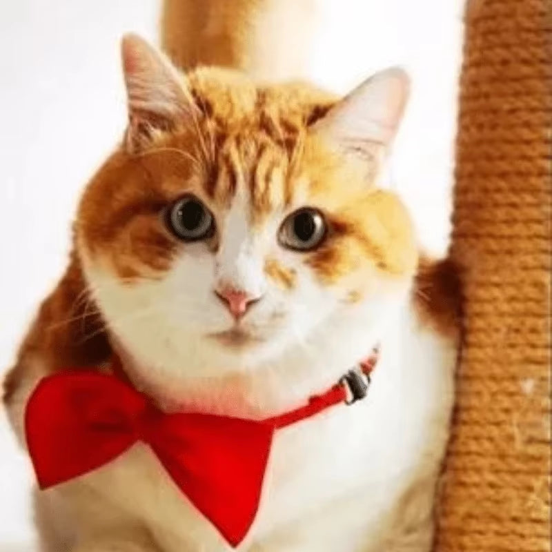 Stylish & Adjustable Pet Bowtie Collar: Make Your Dog or Cat Look Fabulous!