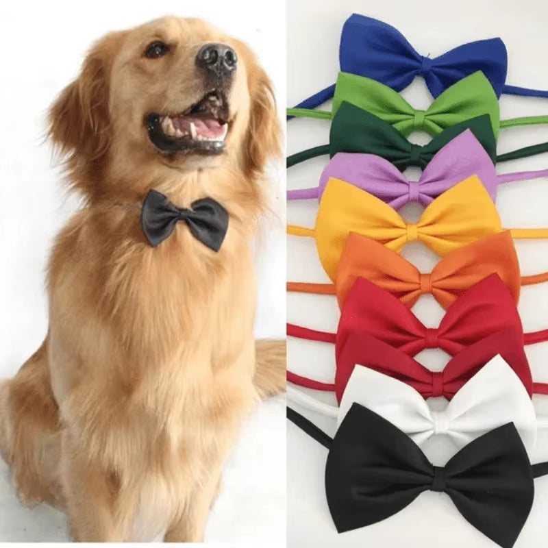 Stylish & Adjustable Pet Bowtie Collar: Make Your Dog or Cat Look Fabulous!