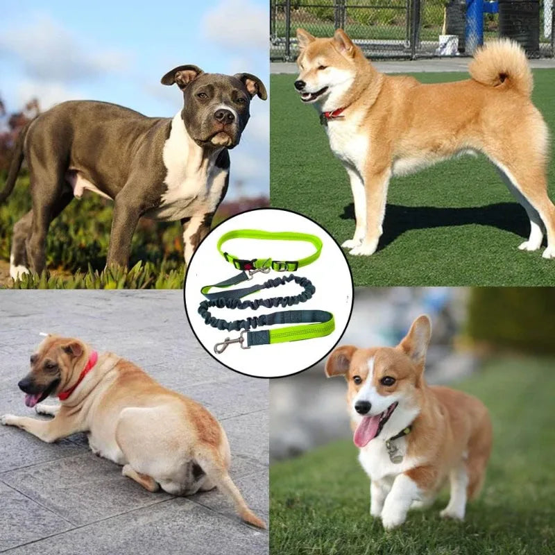 Hand Free Dog Leash for Adjustable Dog Leash Waist Belt Pet Walking Running Jogging Chest Strap Traction Rope Dog Accessories