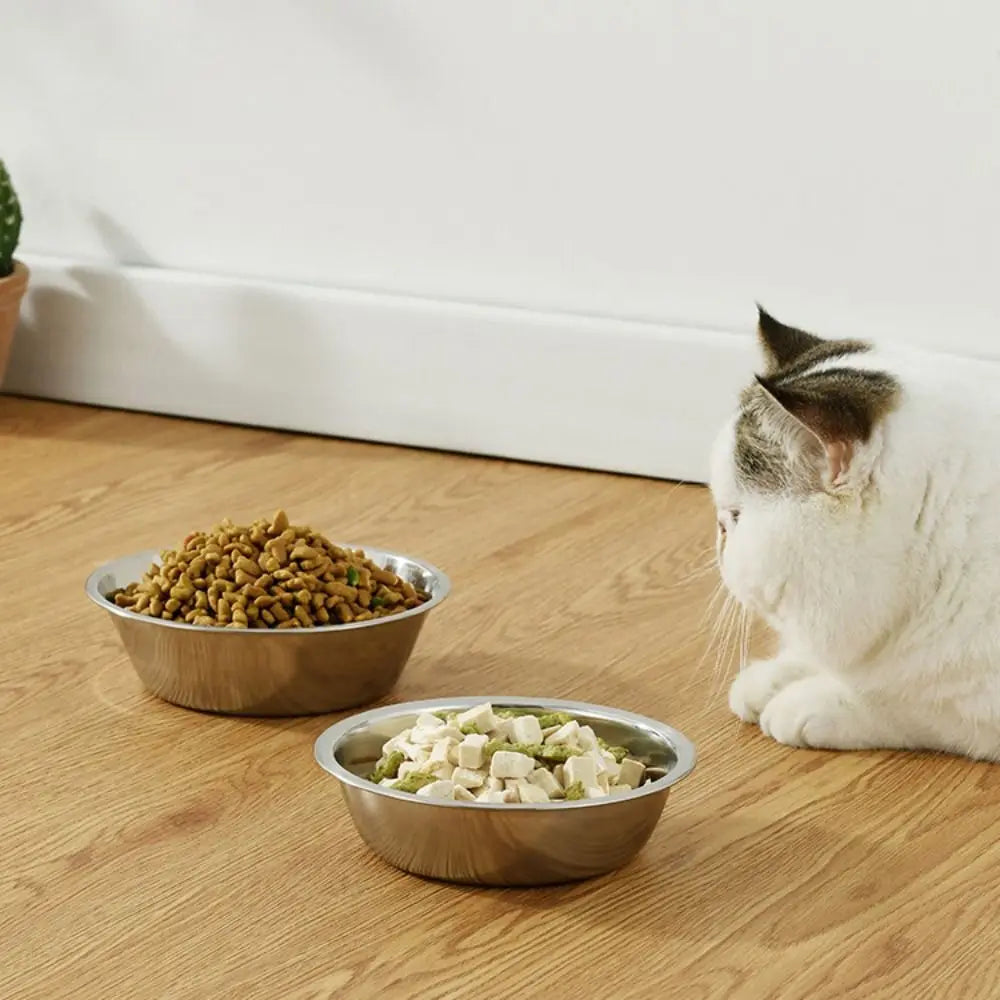 Pet Supplies Large Capacity Dog Bowl Non-Rust Stainless Steel Cat Water Feeder Bowls Silver Pet Food Container Kitten